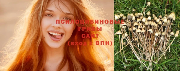 крисы Абинск