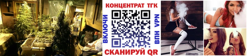ТГК гашишное масло  Приозерск 