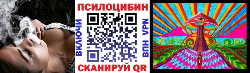 Псилоцибиновые грибы Cubensis  Приозерск 